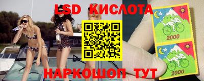 твердый Лесосибирск