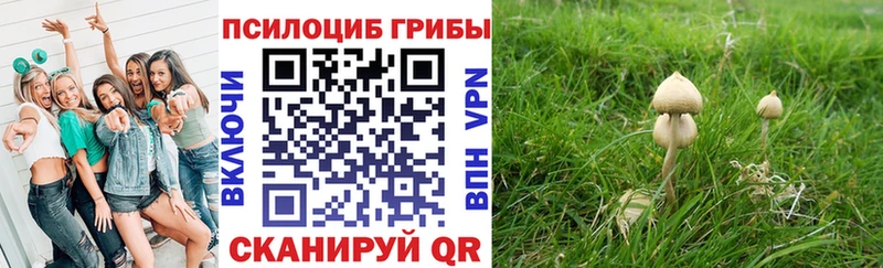 Псилоцибиновые грибы прущие грибы  Гулькевичи 