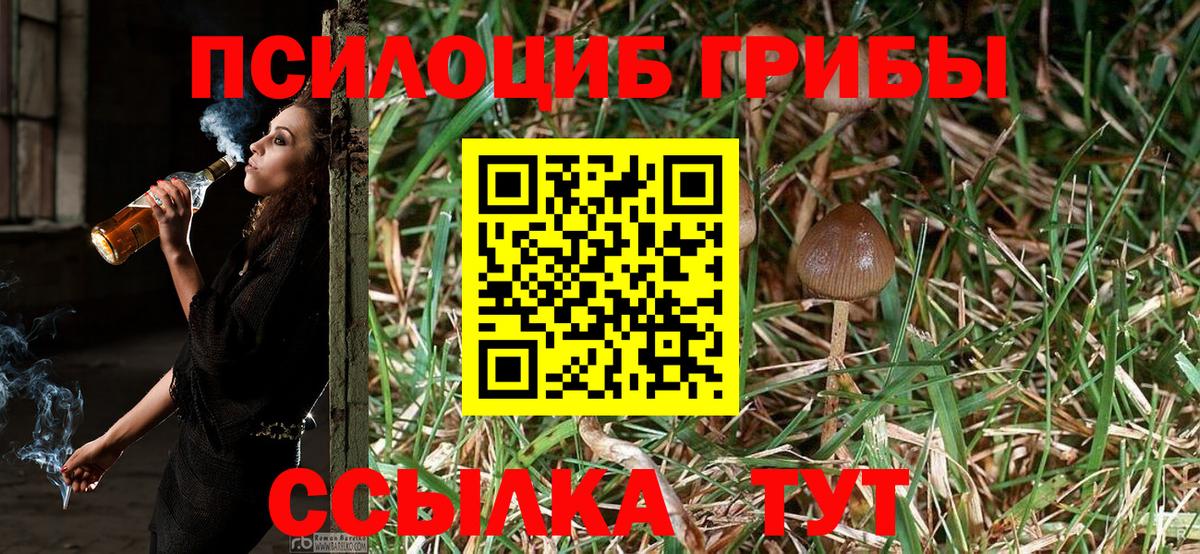 Галлюциногенные грибы MAGIC MUSHROOMS Гулькевичи