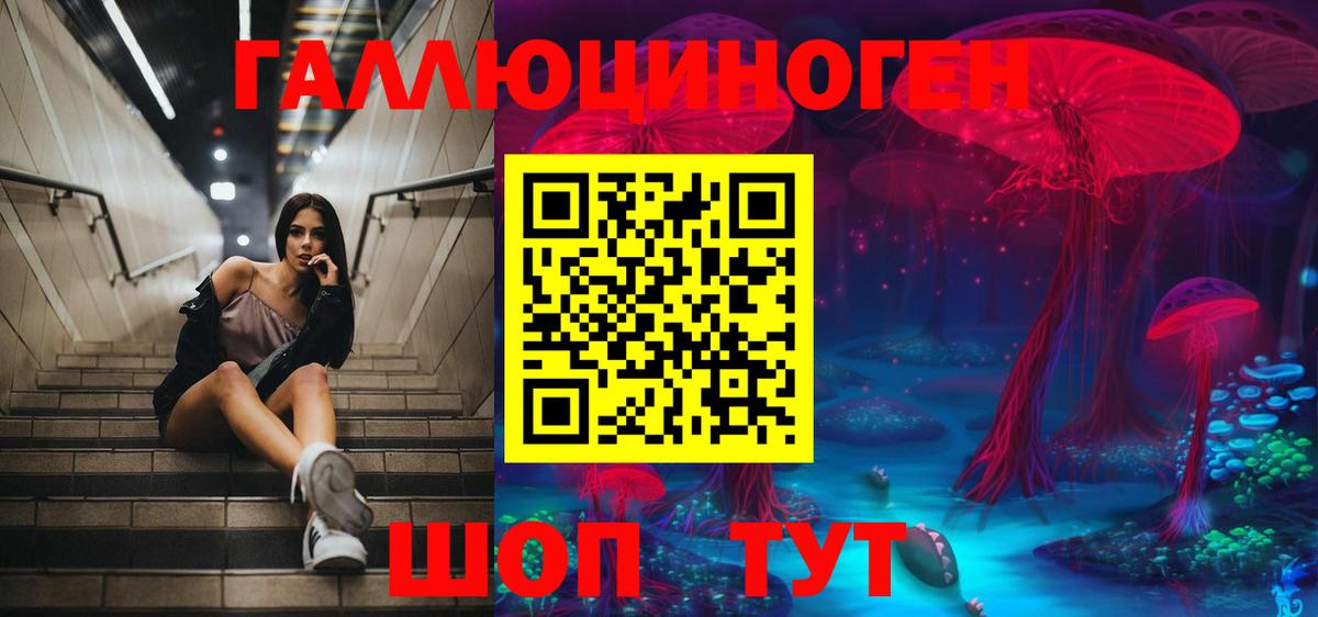Канабис Гулькевичи